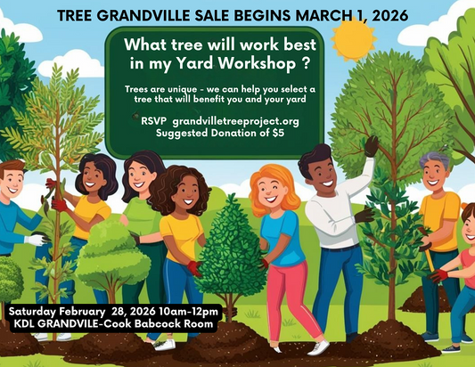 What Tree will work well in My Yard?